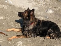 Ki-Shani